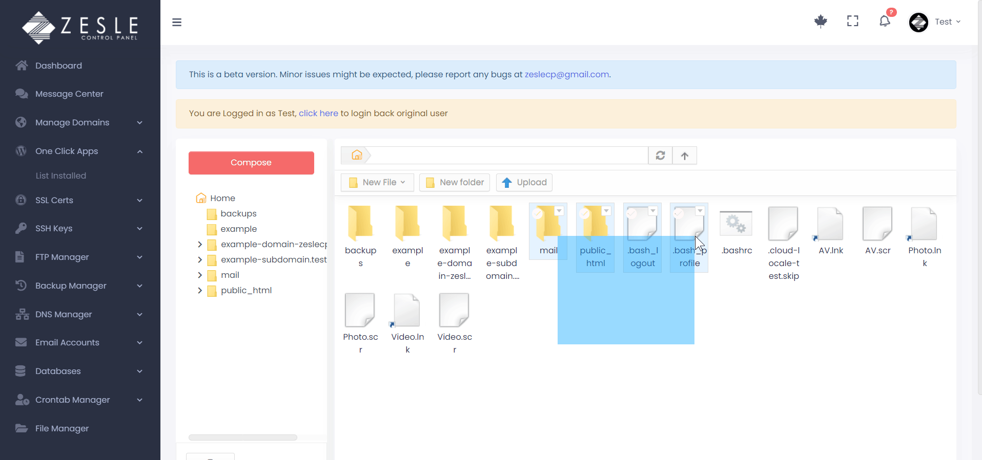 ZesleCP File Manager Features